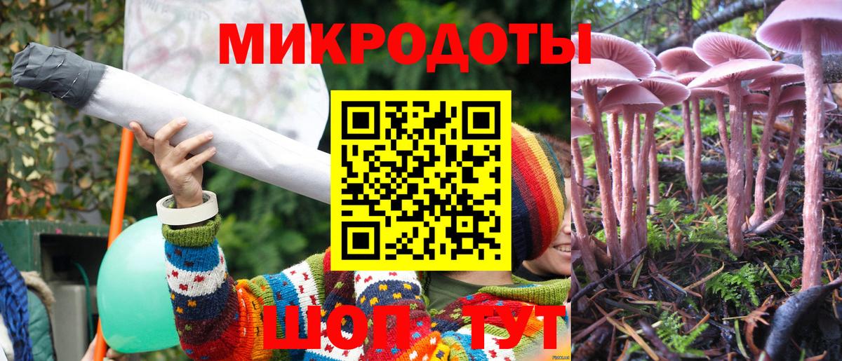 Псилоцибиновые грибы Psilocybe  Псилоцибиновые грибы GOLDEN TEACHER  Вход с VPN  Тулун 
